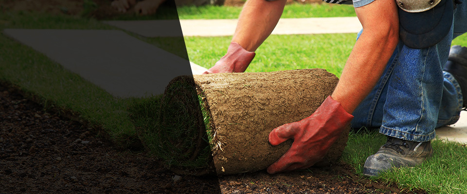 West Linn Landscapers